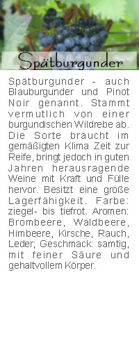 Spätburgunder